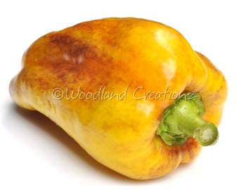 May include: A yellow bell pepper with reddish-brown markings. The pepper has a green stem and is set against a white background. The text "Woodland Creations" is visible on the pepper.