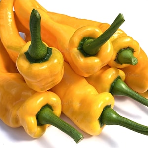 Könnte beinhalten: Nahaufnahme mehrerer gelber Bananenpaprika mit grünen Stielen. Die Paprika sind gebogen und haben eine glatte, glänzende Oberfläche. Die Paprika sind in einem Haufen angeordnet, wobei sich einige überlappen. Der Hintergrund ist weiß.