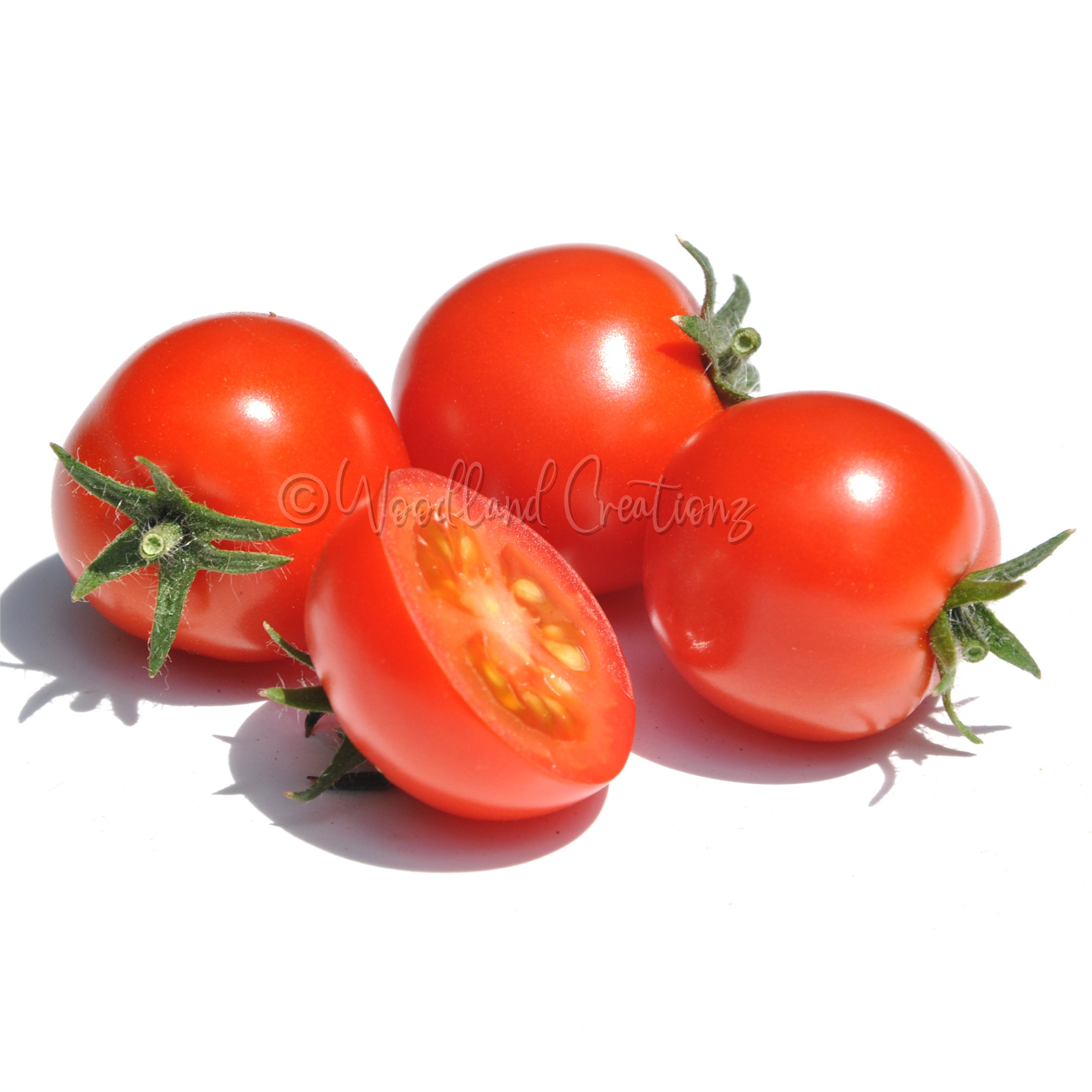 Zwergenwunder - Micro Tomato Seeds - Micro Dwarf Tomato Seeds - Small Tomato Plant - Aerogarden Tomato