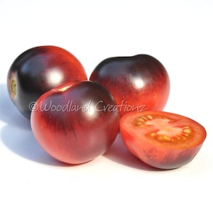 Indigo Apple Tomato Seeds Heirloom Open Pollinated Non-GMO Organic Vegetable Variety USA