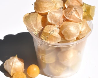 Aunt Molly's Ground Cherry Seeds: Organic Polish Heirloom