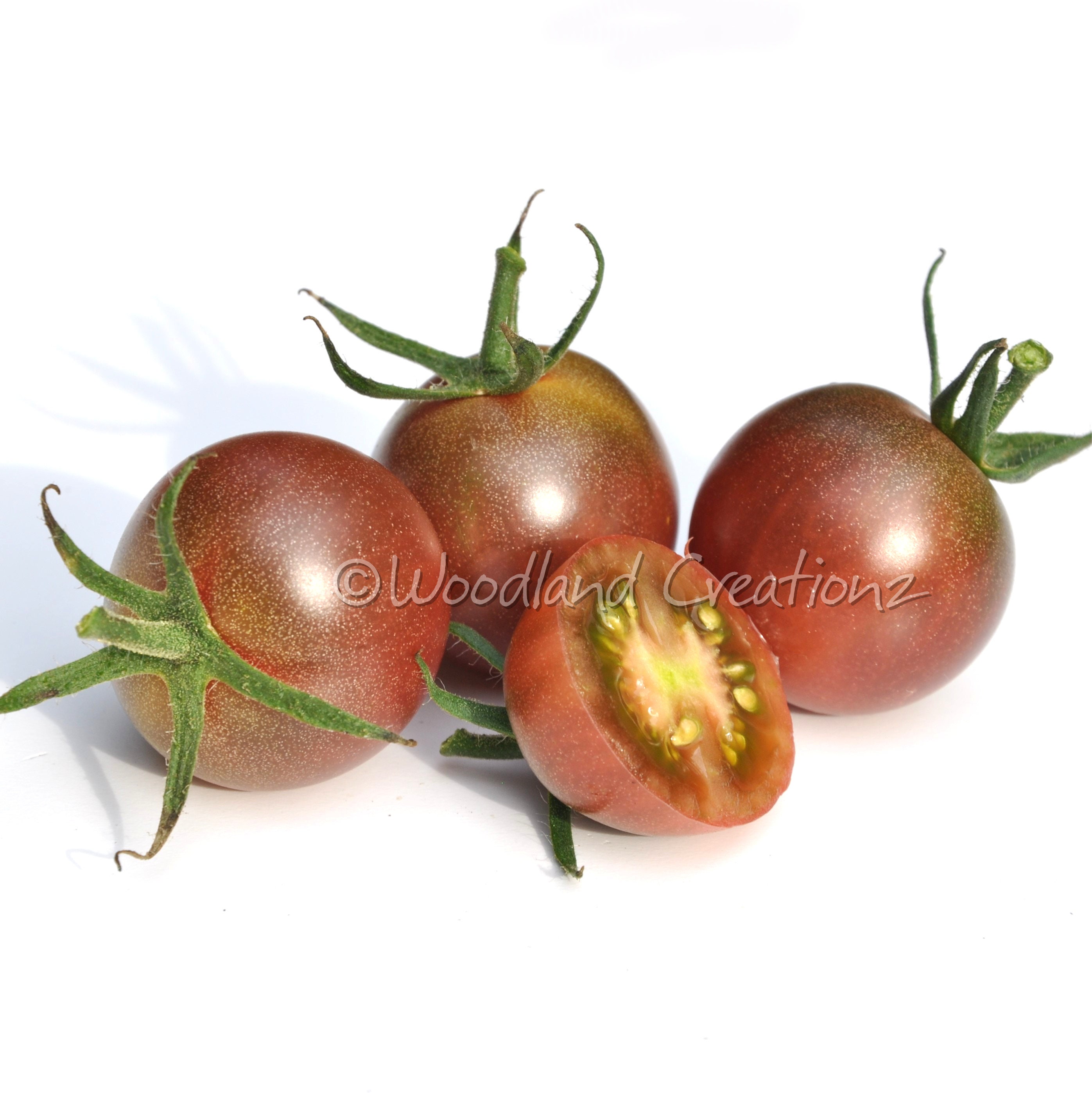 Ladybug Mania Small Floral in Dark Tomato Ladybug Mania Small Floral in Dark Tomato