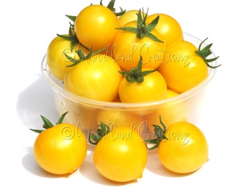 Aztek Tomato Seeds - Micro Dwarf Tomato Seeds - Sweet Yellow Tomatoes