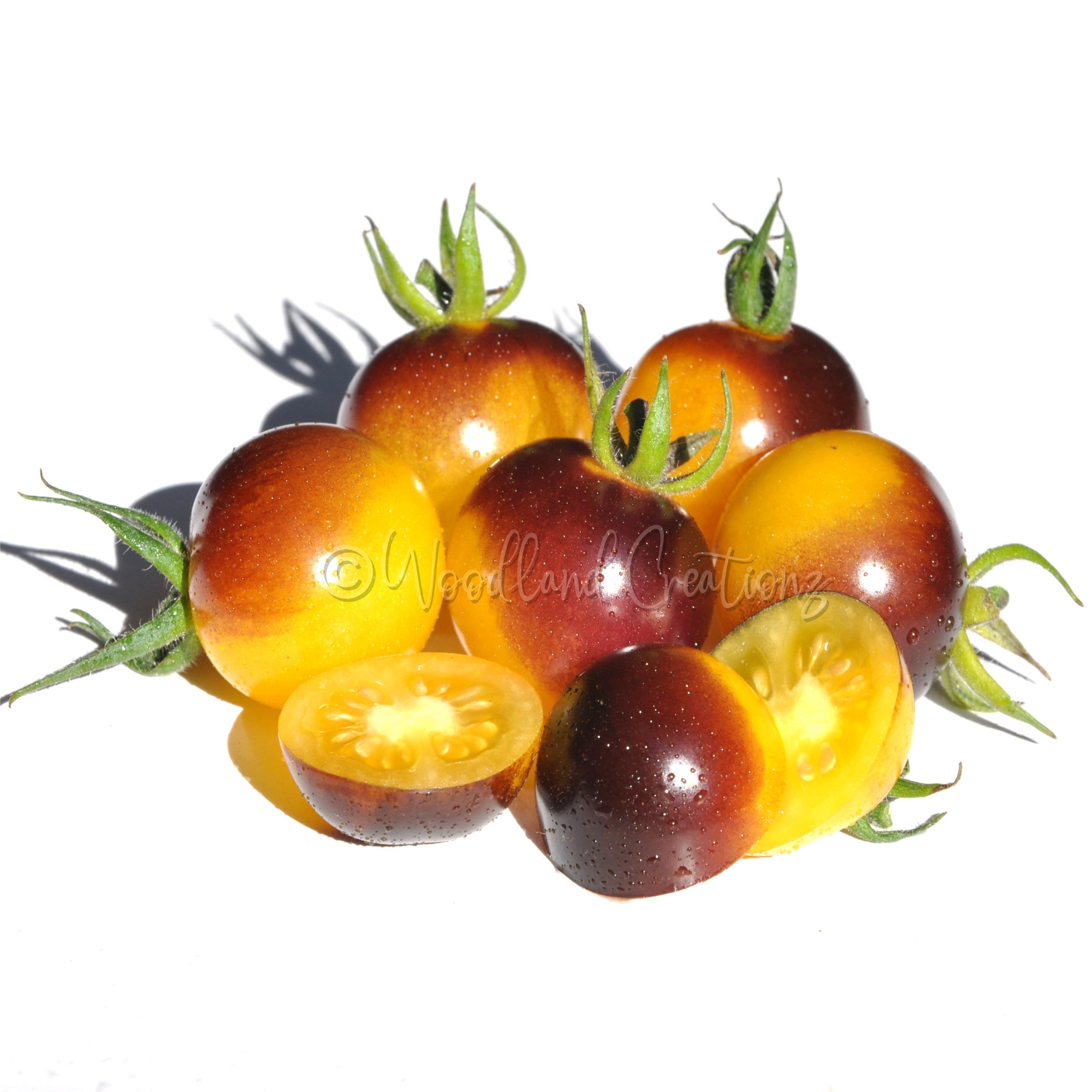 Gold Berries Tomato Seeds - Heirloom Yellow Cherry Tomato - Etsy