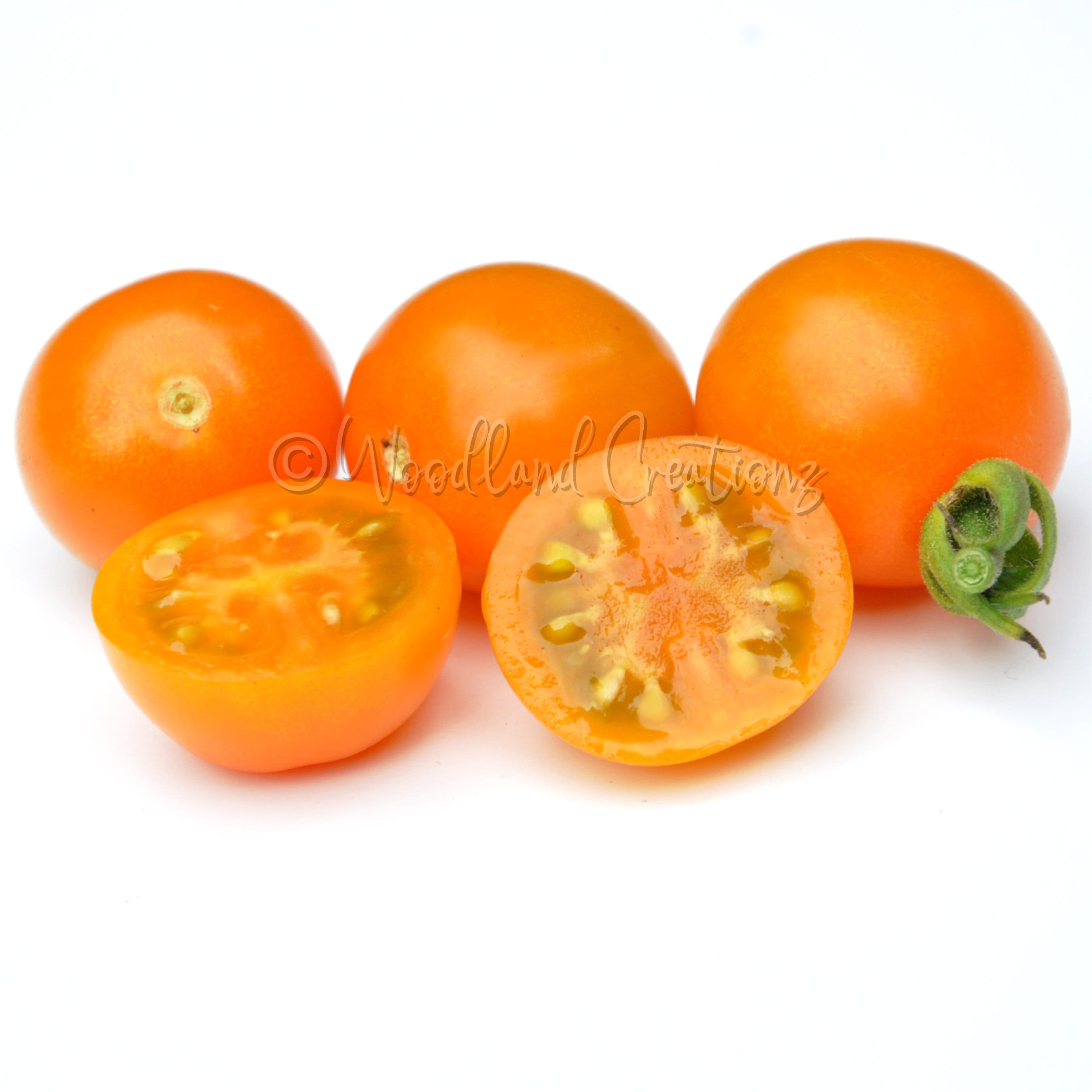 Sungold Select Tomato - Sweet Cherry Tomato - Orange Cherry Tomato