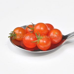 Semillas de tomate cuchara: el tomate más pequeño del mundo: diminutos frutos rojos