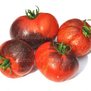 Dark Galaxy Tomato Seeds - Unique Heirloom - Open Pollinated Tomato - Non-GMO - Non Hybrid Variety