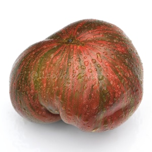 Pink Berkeley Tie-Dye Tomato Seeds - Beefsteak Tomato Seeds - Heirloom