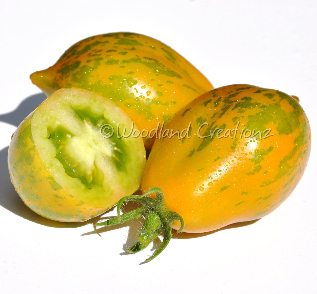 Mint Julep Tomato Seeds or Michael Pollan Tomato Seeds Etsy