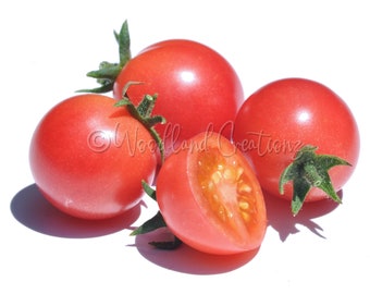 Whipper Snapper Tomato Seeds - Hanging Basket Tomato Seeds - Pink Cherry Tomato - Patio Tomato