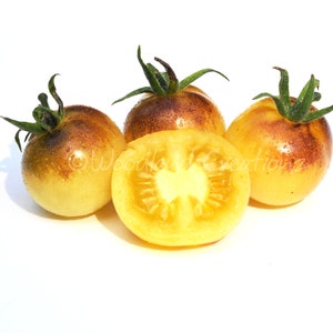 Amethyst Cream Tomato Seeds - Amethyst Cream XL Tomato Seeds - Rare Cherry Tomato Seeds