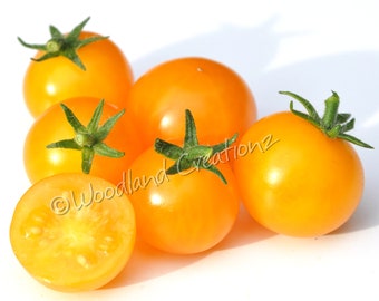 Orange Hat Tomato Seeds - Micro Dwarf Tomato Plants - Aerogarden Tomato - Hydroponic Tomato