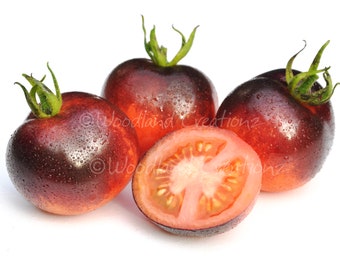 Indigo Rose Tomato Seeds - Organic Heirloom -Vegetable Seeds