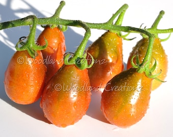 Chocolate Pear Tomato Seeds - Cherry Tomato - Pear Tomato