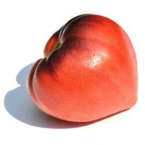 May include: A heart-shaped tomato, predominantly red with darker, almost black, patches. The surface is covered in tiny water droplets. The tomato is set against a white backdrop, with a visible shadow.