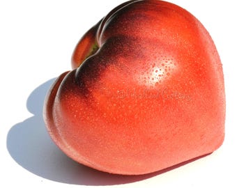 Tomatfrön från Sgt. Peppers - Rosa hjärta, arvstomat