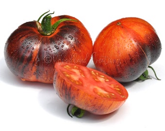 May include: Three heirloom tomatoes, one sliced, showcasing a vibrant mix of colors. The tomatoes display a gradient of red, orange, and dark purple hues, with visible water droplets. The cut tomato reveals a juicy, red interior.