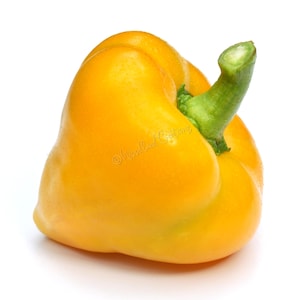 Puede incluir: Un pimiento amarillo vibrante con un tallo verde. El pimiento es de un color amarillo brillante y tiene una superficie lisa y ligeramente brillante. El tallo es de un verde vibrante, contrastando con el amarillo del pimiento. El pimiento está sobre un fondo blanco.
