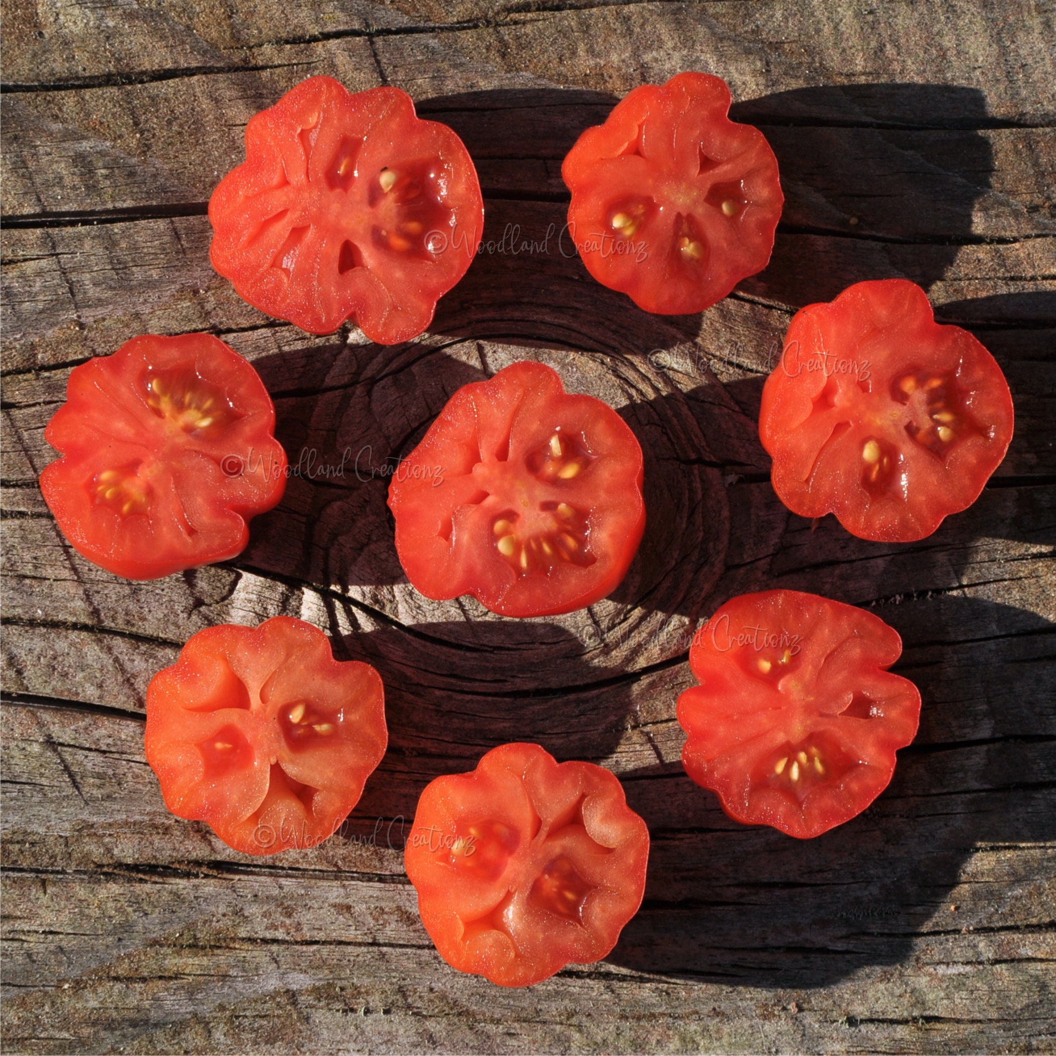 Accordion Cherry Tomato Seeds: Red Ribbed Heirloom - (15 Seeds) - Etsy