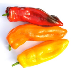 Può includere: Tre peperoni colorati: rosso, arancione e giallo. I peperoni sono allungati con gambi verdi, disposti diagonalmente su uno sfondo bianco. Il peperone rosso ha una tonalità più scura sulla punta.