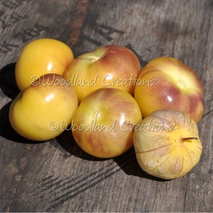 Yellow Tomatillo Seeds - Dr. Wyche's Yellow - Mexican Husk Tomato - Physalis Philadelphica Organic Heirloom Ground Cherry Salsa Verde