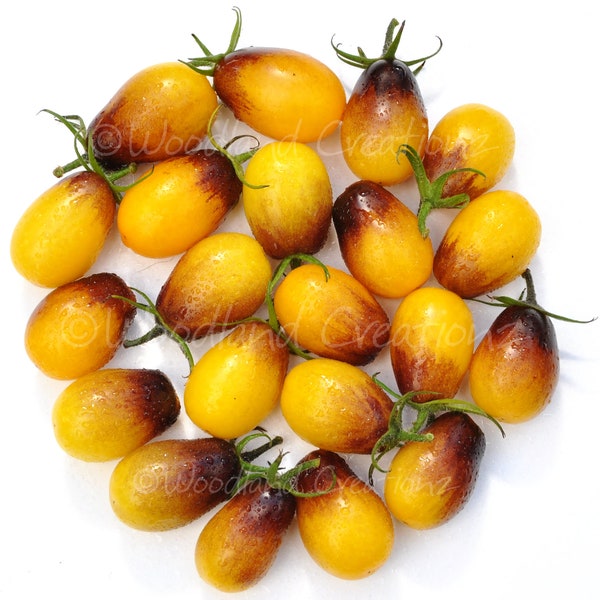 Indigo Pear Drops Tomato - Yellow Pear Tomato - Sweet Cherry Tomato - Yellow Cherry Tomato