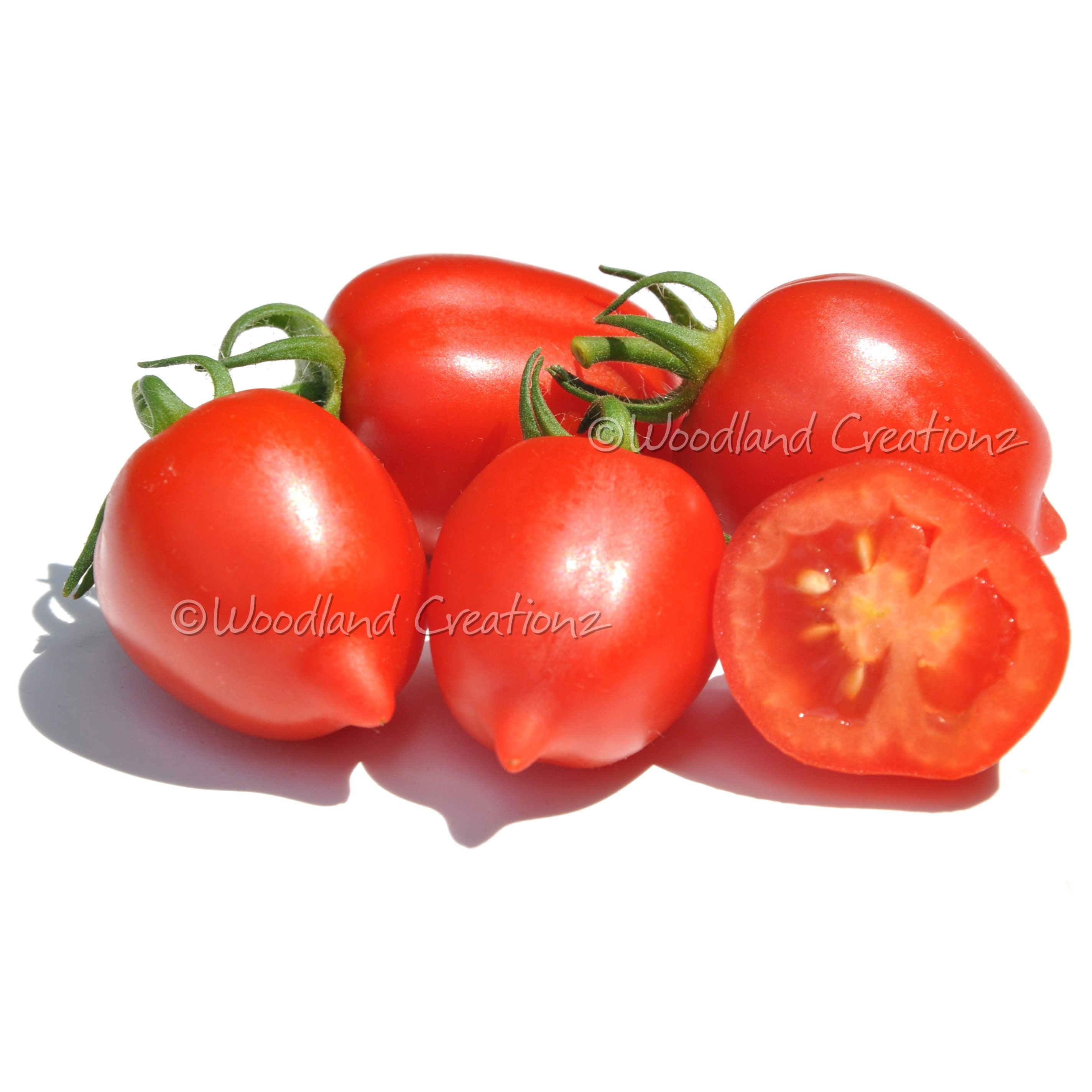 Cherry Tomato (quarter-size) Keychain