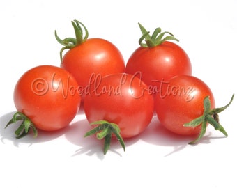 Riding Hood Tomato Seeds - Micro Dwarf Tomato Seeds - Red Cherry Tomato - Heirloom USA