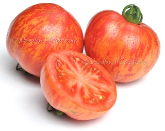 10+ seeds Gogoshari Striped Tomato Heirloom Vegetable Seeds P 324