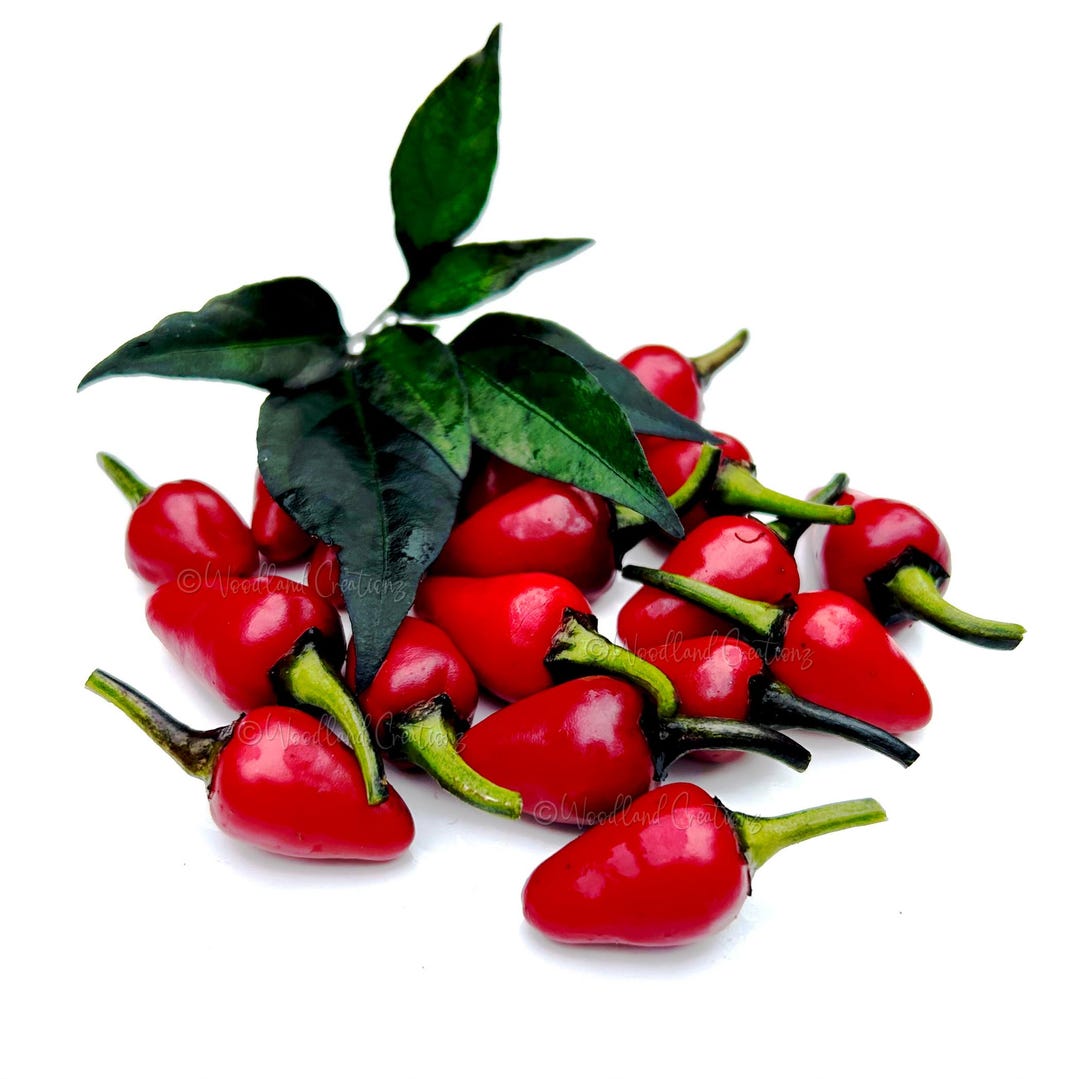 wild-purple-guatemala-pepper-seeds-hot-capsicum-annuum-etsy