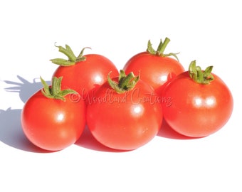 Krasny Milo Micro Dwarf Tomato - Micro Dwarf Tomato Seeds - Micro Dwarf Plants - Sweet Red Tomatoes