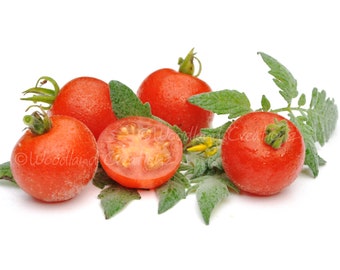 Velvet Red Cherry Tomato Seeds Fuzzy Organic Open Pollinated Non-GMO Heirloom