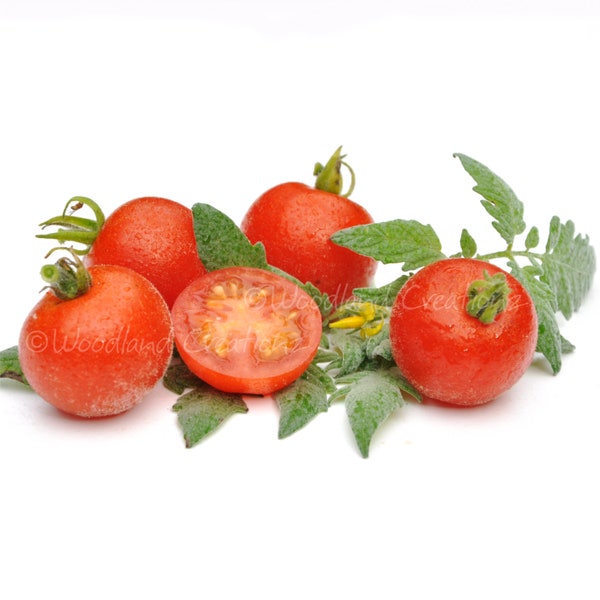 Velvet Red Cherry Tomato Seeds Fuzzy Organic Open Pollinated Non-GMO Heirloom