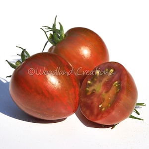May include: Three heirloom tomatoes with a deep red and brown striped pattern. One tomato is cut in half, revealing the juicy interior. Green stems are attached. The image has the text "Woodland Creations".