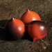 see more listings in the Tomato Seeds section