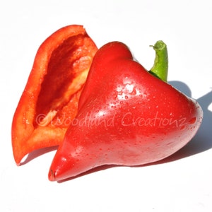 Lesya Pepper - Sweet Pepper Seeds - Rare Pepper Seeds - Sweet Red Pepper - Heirloom Pepper