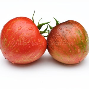 Persuasion Tomato Seeds - Organic Heirloom Tomato