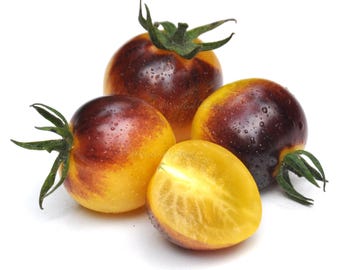 Cosmic Purple Rain Cherry Tomato Seeds - Rare Variety (20 Seeds)