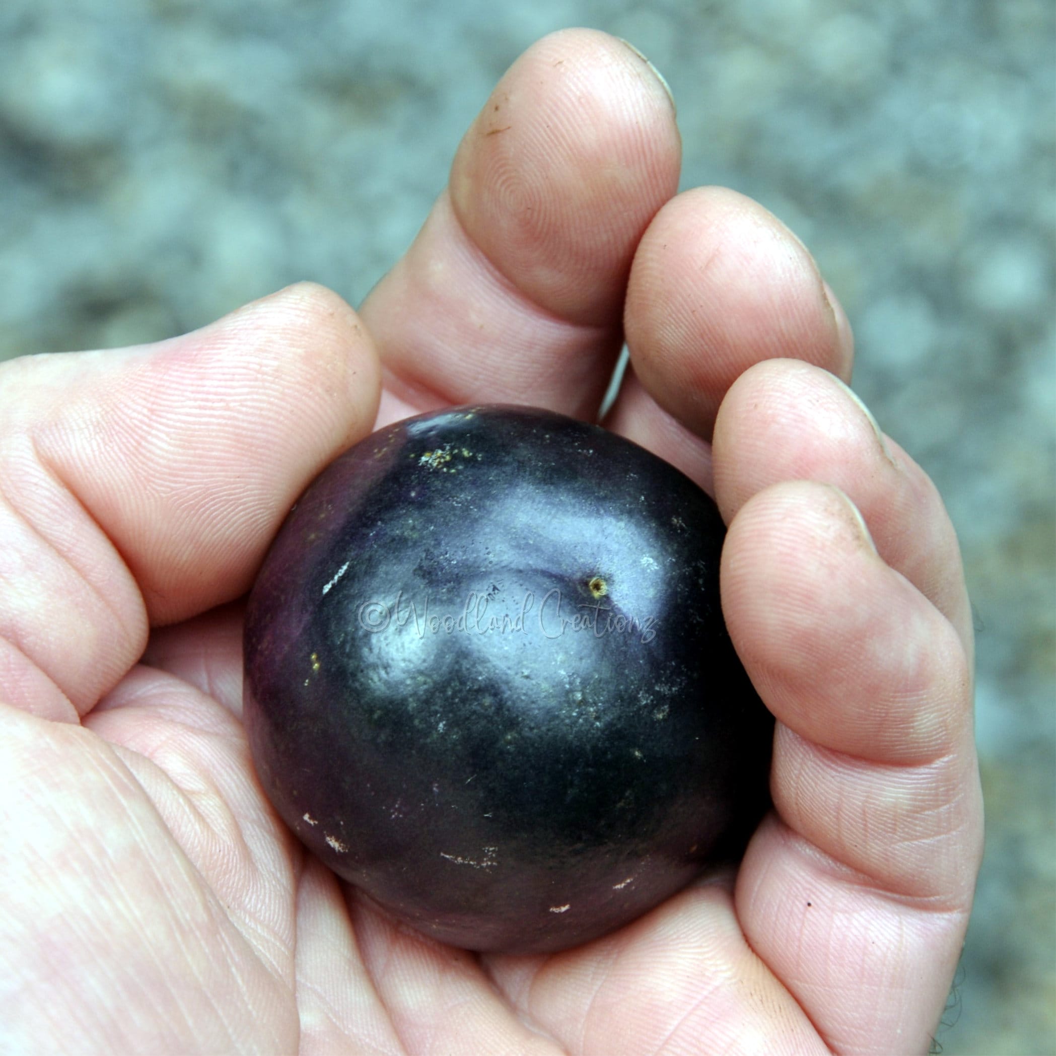 Maionese Al Tomatillo Viola Marinato - Foto 6