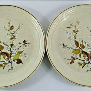 May include: Two beige ceramic dinner plates with a brown rim and a floral design of white flowers and brown leaves.