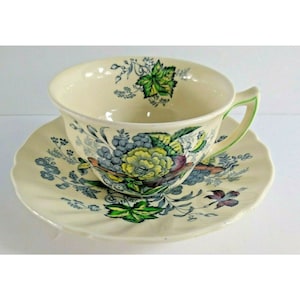 Royal Doulton The Kirkwood Tea Cup & Saucer Multicolor Garden England MCM