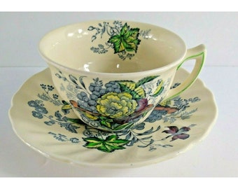 Royal Doulton The Kirkwood Tea Cup & Saucer Multicolor Garden England MCM