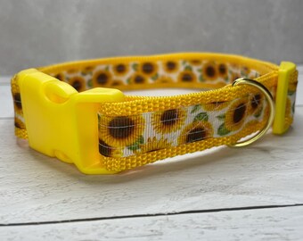 Collar Sunflowers Designer Dog Collar