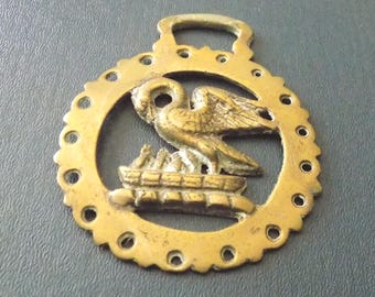 Antique cast HORSE BRASS Pelican feeding her young design in decorative border REF651