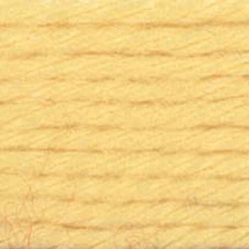 Yarn Caron Simply Soft Blackberry, Pagoda, Blue Mint or Autumn Maize Etsy