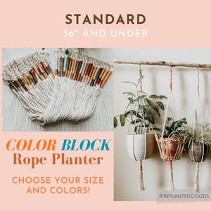 Color Block Rope Planter // Minimalist // Choose Your Color Macrame Planter // Colorblock Planter // Sustainable Home Decor // Japandi
