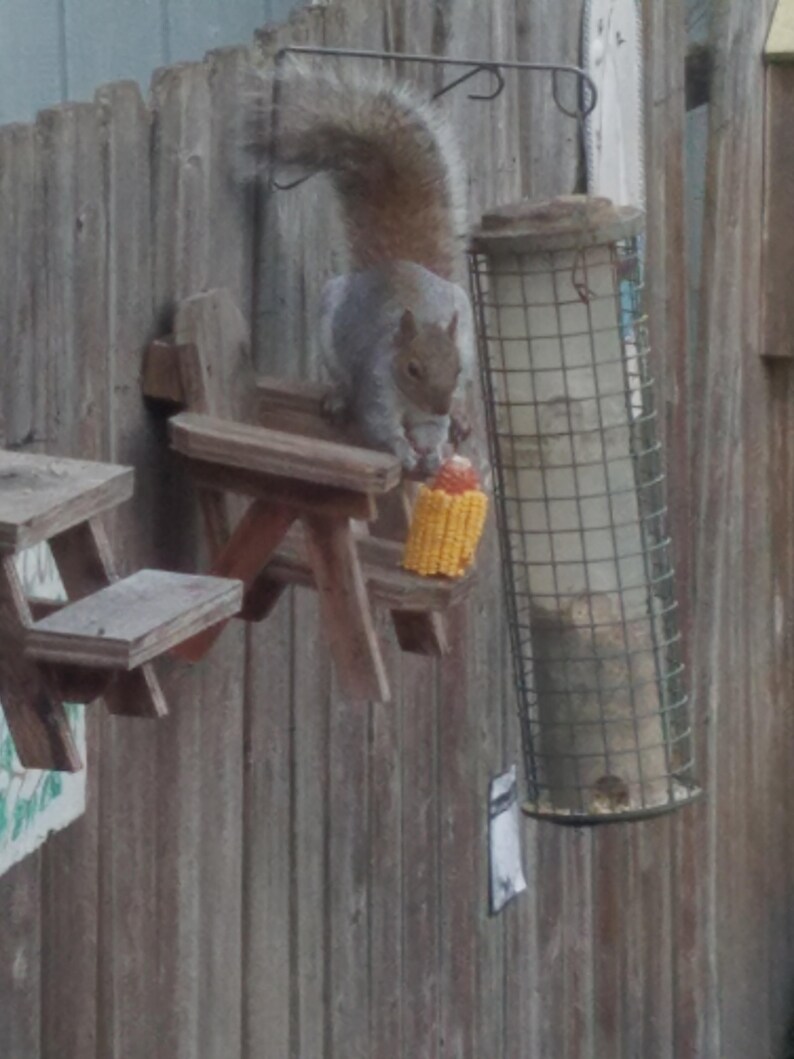 Squirrel Adirondack Chair Etsy