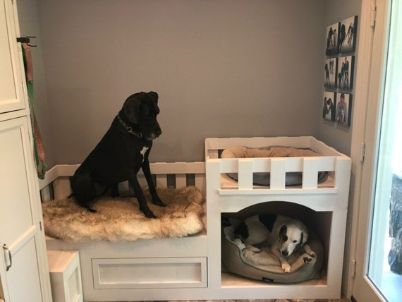 Dog shop loft bed