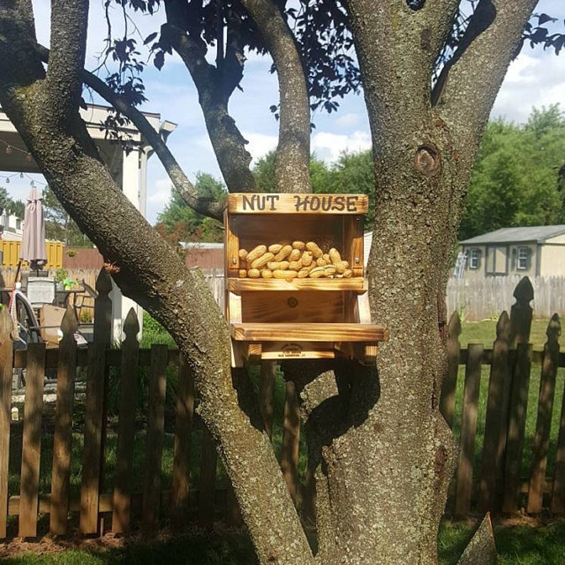 The Original Squirrel Nut House Feeder Etsy