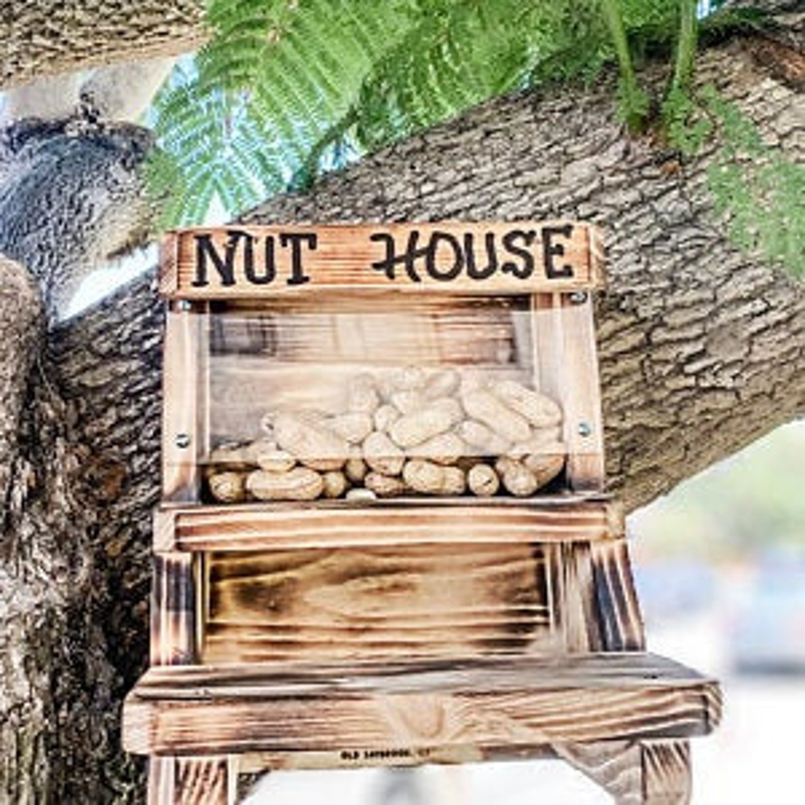 The Original Squirrel Nut House Feeder Etsy